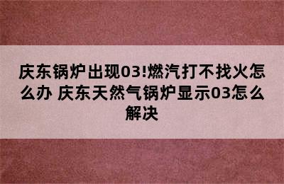 庆东锅炉出现03!燃汽打不找火怎么办 庆东天然气锅炉显示03怎么解决